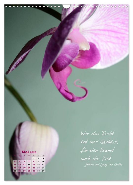 Produktbild: Blumen & Zitate (Wandkalender 2026 DIN A3 hoch), CALVENDO Monatskalender