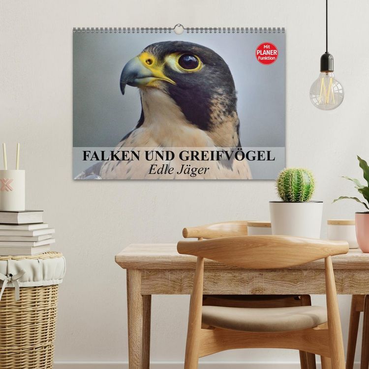 Produktbild: Falken und Greifv&ouml;gel - Edle J&auml;ger (Wandkalender 2026 DIN A3 quer), CALVENDO Monatskalender