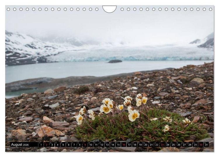 Produktbild: Spitzbergen - Arktische Impressionen (Wandkalender 2026 DIN A4 quer), CALVENDO Monatskalender