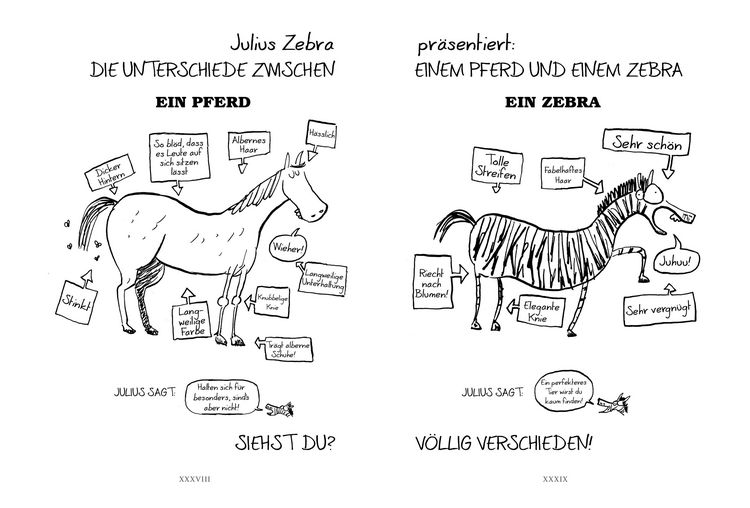 Produktbild: Raufen mit den R&ouml;mern / Julius Zebra Band 1