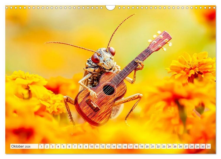 Produktbild: Konzert der Natur - Insekten spielen Musikinstrumente (Wandkalender 2026 DIN A3 quer), CALVENDO Monatskalender