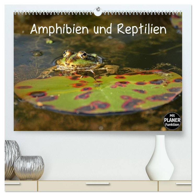 Produktbild: Amphibien und Reptilien (hochwertiger Premium Wandkalender 2026 DIN A2 quer), Kunstdruck in Hochglanz