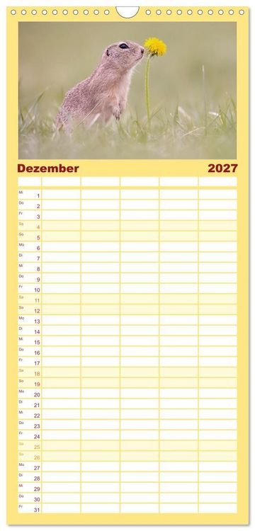 Produktbild: Familienplaner 2027 - Zauberhafte Ziesel mit 5 Spalten (Wandkalender, 21 x 45 cm) CALVENDO