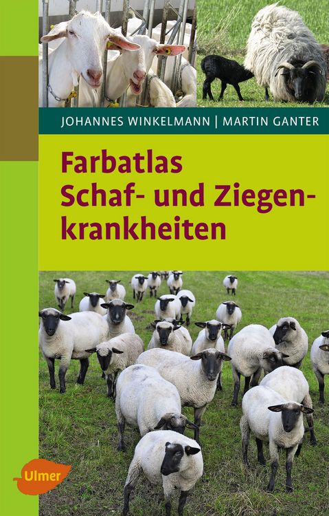 Produktbild: Schaf- und Ziegenkrankheiten