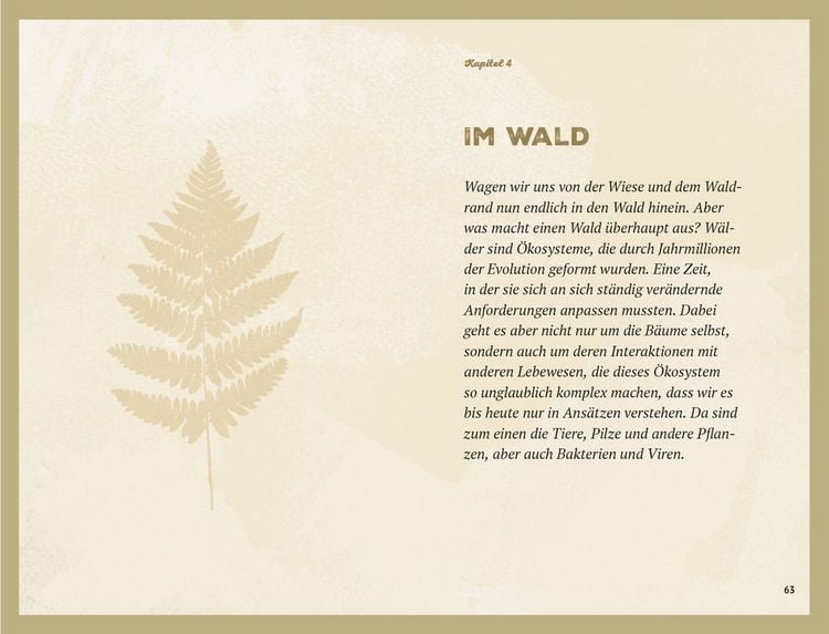 Produktbild: Waldgeheimnisse