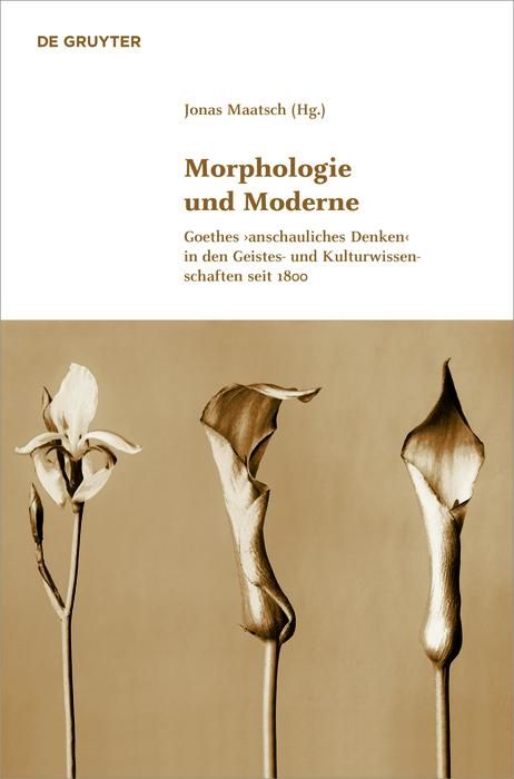 Produktbild: Morphologie und Moderne