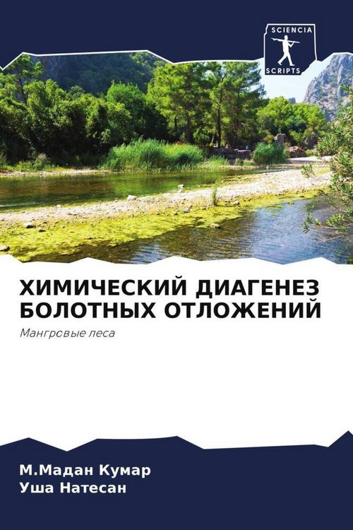 Produktbild: HIMIChESKIJ DIAGENEZ BOLOTNYH OTLOZhENIJ