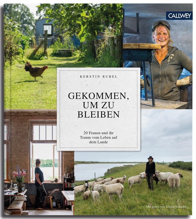 Produktbild: Gekommen, um zu bleiben