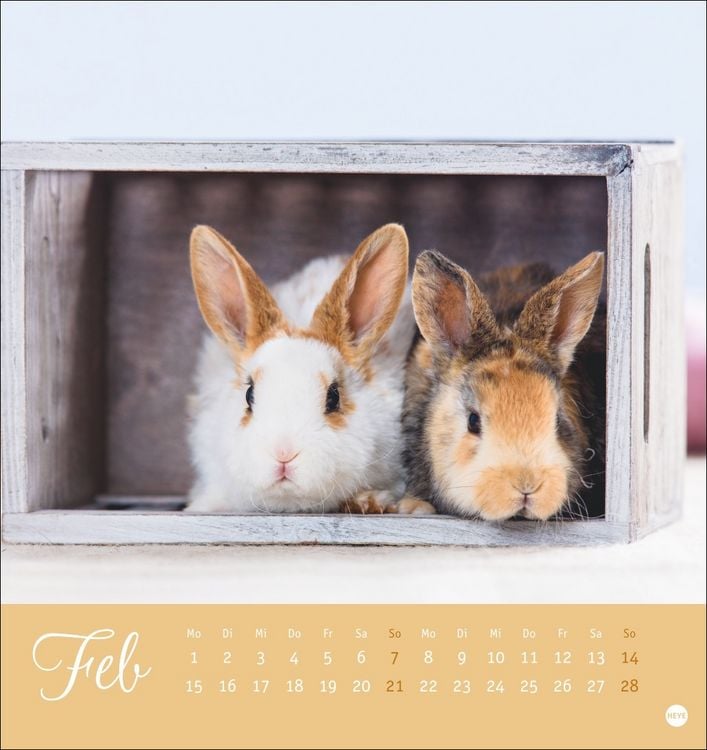 Produktbild: S&uuml;&szlig;e Kaninchen Postkartenkalender 2027