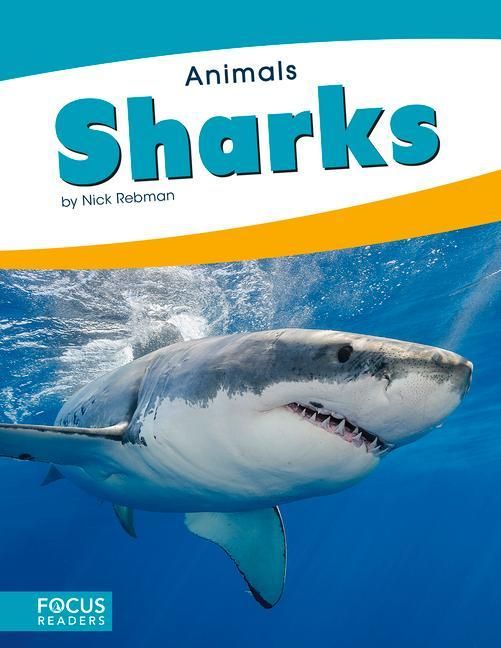 Produktbild: Sharks