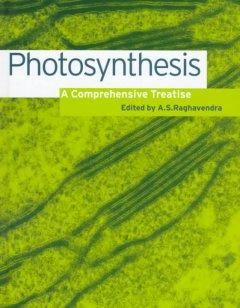 Produktbild: Photosynthesis
