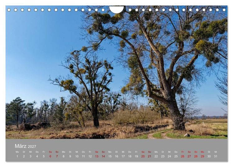 Produktbild: Naturerlebnis im Biosph&auml;renreservat Dr&ouml;mling (Wandkalender 2027 DIN A4 quer), CALVENDO Monatskalender