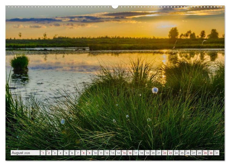 Produktbild: Traumlandschaft Hohes Venn (hochwertiger Premium Wandkalender 2026 DIN A2 quer), Kunstdruck in Hochglanz