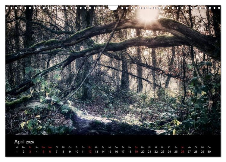 Produktbild: Mystische W&auml;lder (Wandkalender 2026 DIN A3 quer), CALVENDO Monatskalender