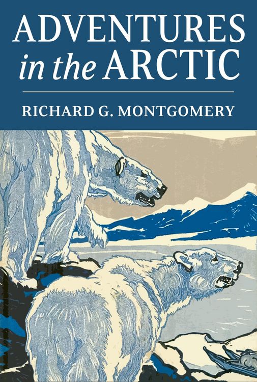 Produktbild: Adventures in the Arctic