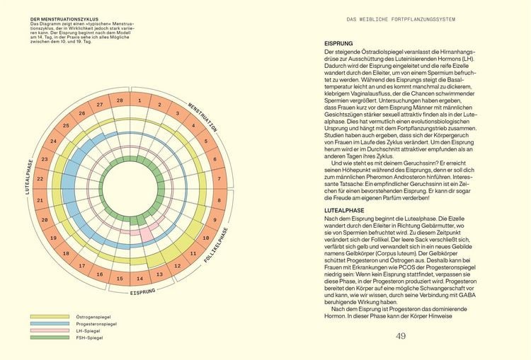 Produktbild: Alles, was du &uuml;ber Hormone wissen musst