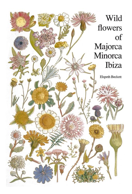 Produktbild: Wild flowers of Majorca Minorca and Ibiza