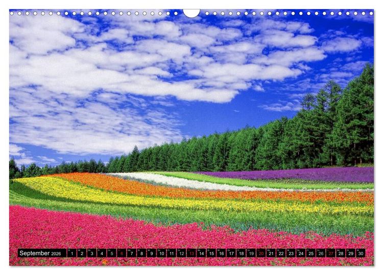 Produktbild: Landschaften im Farbrausch (Wandkalender 2026 DIN A3 quer), CALVENDO Monatskalender