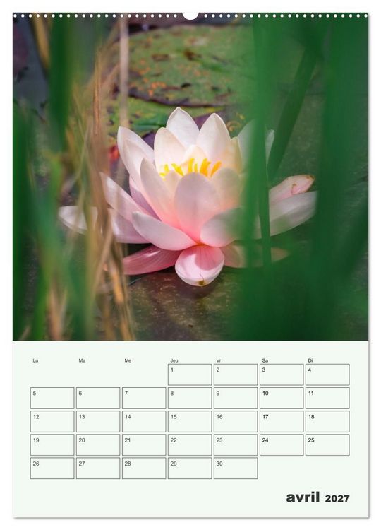 Produktbild: Les fleurs, &eacute;ternelles &eacute;phem&egrave;res (Calendrier mural haut de gamme 2027 DIN A2 horizontal), CALVENDO calendrier mensuel