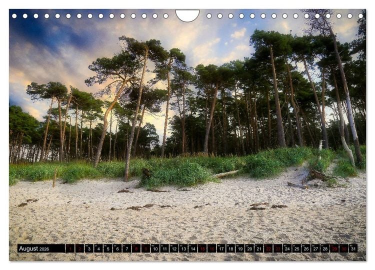 Produktbild: Fischland - Dar&szlig;- Zingst (Wandkalender 2026 DIN A4 quer), CALVENDO Monatskalender