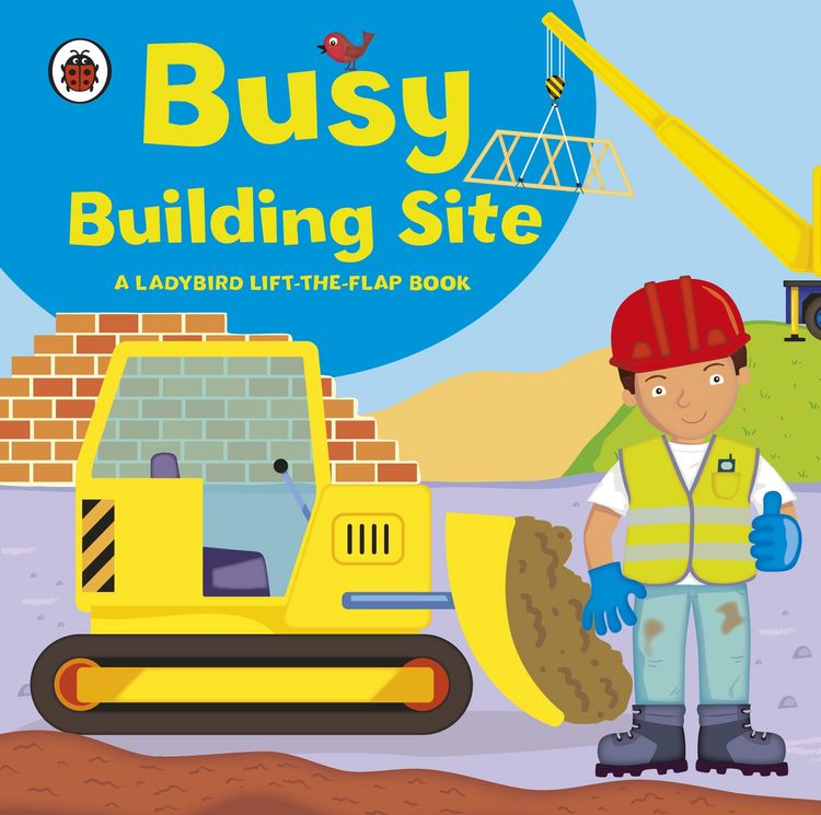 Produktbild: Ladybird lift-the-flap book