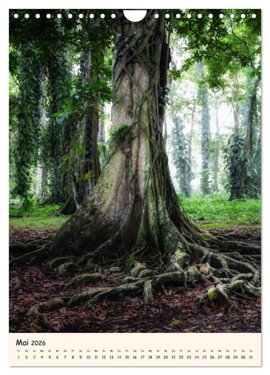 Produktbild: Weltreise Natur - Impressionen rund um den Globus (Wandkalender 2026 DIN A4 hoch), CALVENDO Monatskalender