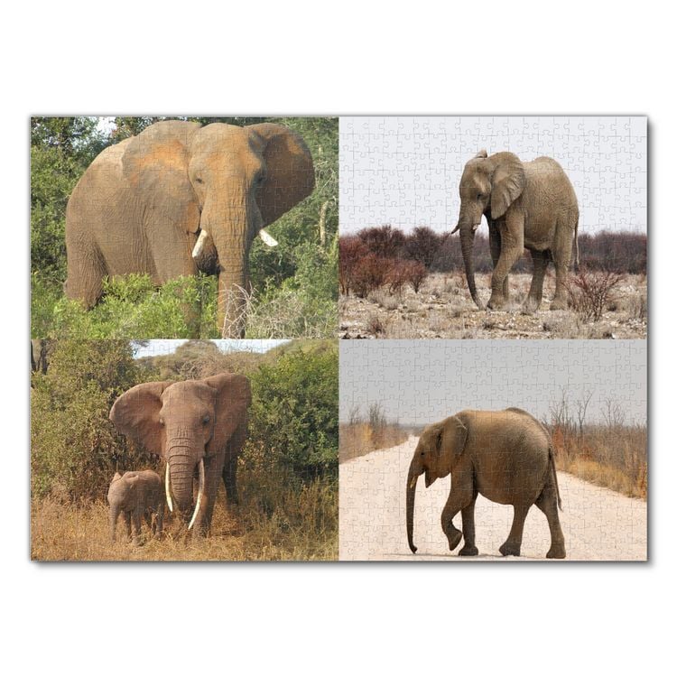 Produktbild: Lais Puzzle Collage Elefant 1000 Teile
