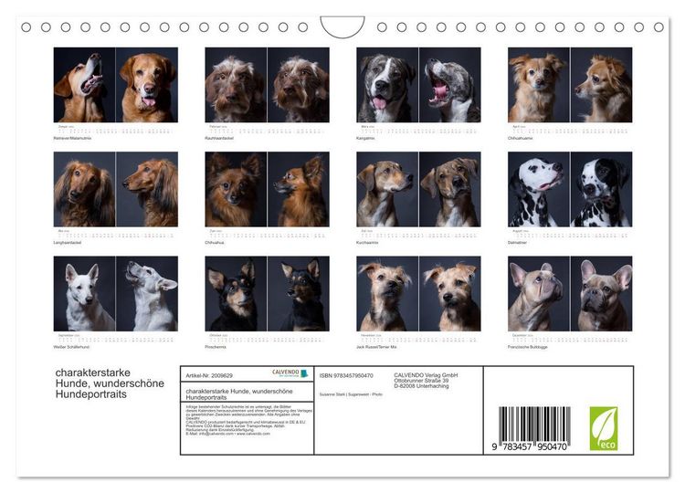 Produktbild: charakterstarke Hunde, wundersch&ouml;ne Hundeportraits (Wandkalender 2026 DIN A4 quer), CALVENDO Monatskalender