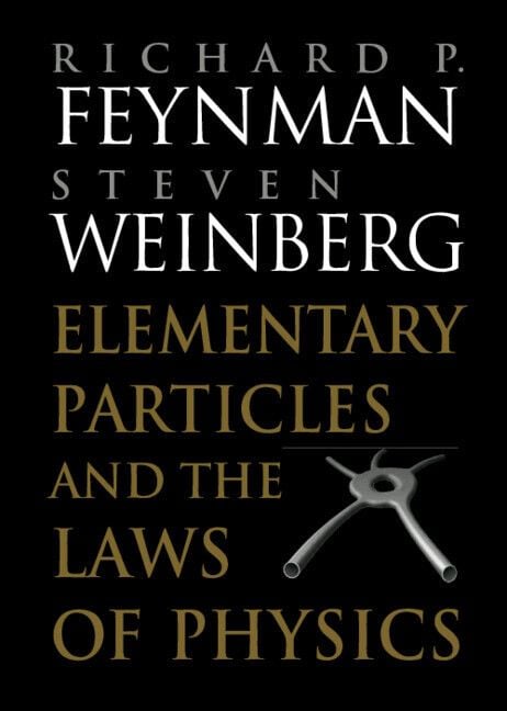 Produktbild: Elementary Particles and the Laws of Physics