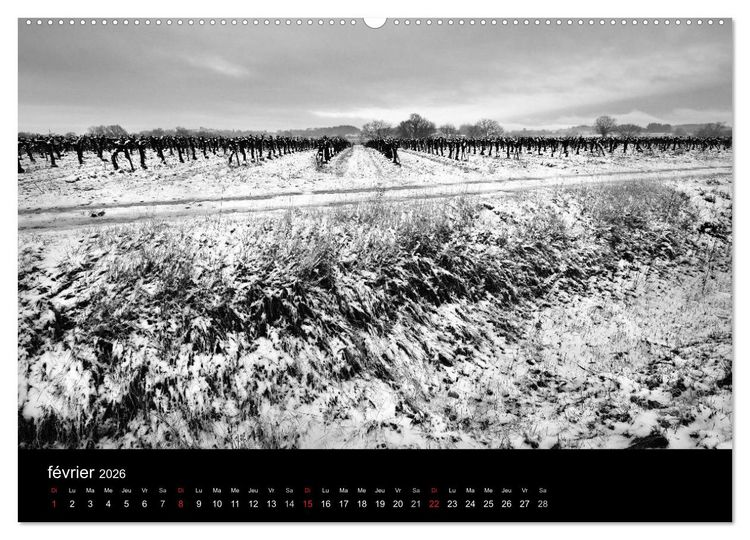 Produktbild: VIGNES DU SUD terroirs d'AOC (Calendrier mural 2026 DIN A2 vertical) calendrier de bureau