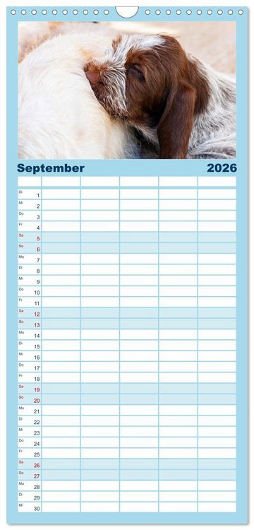 Produktbild: Familienplaner 2026 - Witzige Fellnasen mit 5 Spalten (Wandkalender, 21 x 45 cm) CALVENDO