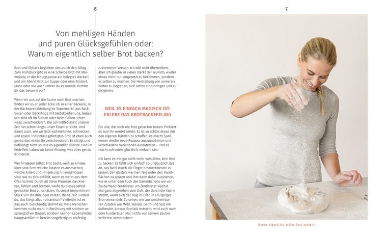 Das große Brotbackbuch