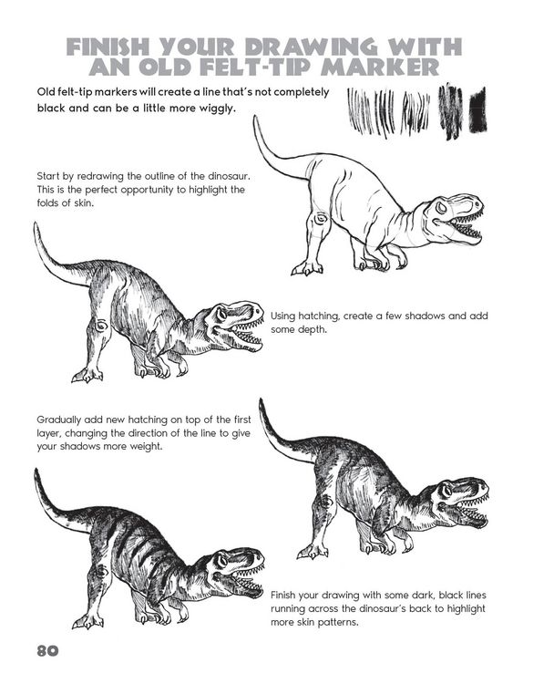 Produktbild: Drawing Animals