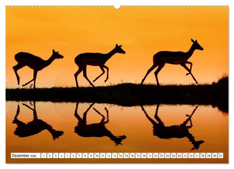 Produktbild: S&Uuml;DAFRIKA - Impressionen von der Garden Route (hochwertiger Premium Wandkalender 2026 DIN A2 quer), Kunstdruck in Hochglanz