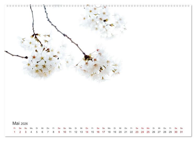 Produktbild: ZEN - Eine Reise zu sich selbst (hochwertiger Premium Wandkalender 2026 DIN A2 quer), Kunstdruck in Hochglanz