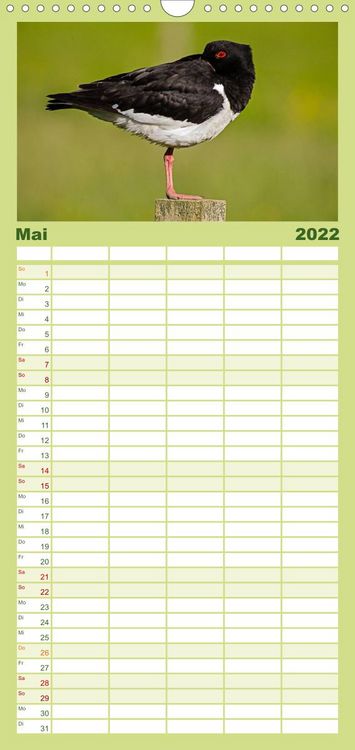 Produktbild: Familienplaner Die Orkneys - Schottlands n&ouml;rdliche Inseln (Wandkalender 2022 , 21 cm x 45 cm, hoch)