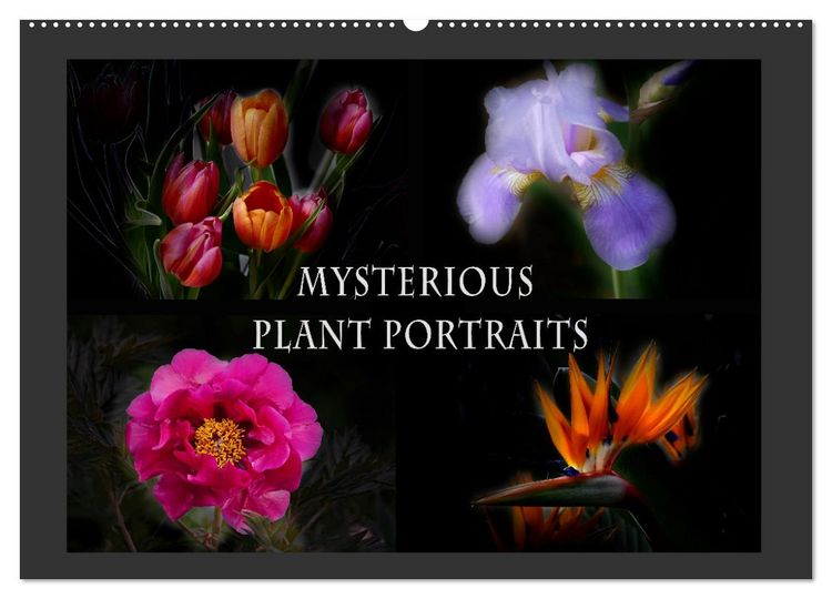 Produktbild: Mysterious plant portraits (Wall Calendar 2026 DIN A2 landscape), CALVENDO 12 Month Wall Calendar