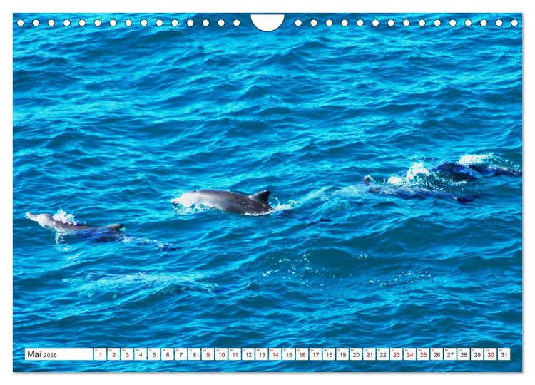 Produktbild: K&uuml;stenparadies - Noosa Nationalpark Australien (Wandkalender 2026 DIN A4 quer), CALVENDO Monatskalender