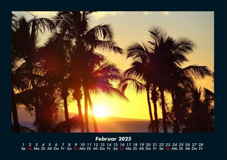 Produktbild: Palmen 2025 Fotokalender DIN A4