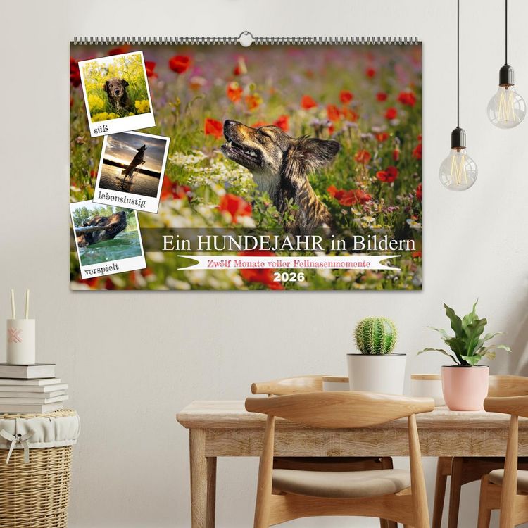Produktbild: Ein Hundejahr in Bildern (Wandkalender 2026 DIN A2 quer), CALVENDO Monatskalender