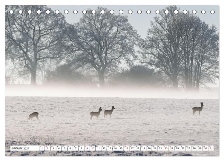Produktbild: Wildtiere im M&uuml;ritz-Nationalpark (Tischkalender 2027 DIN A5 quer), CALVENDO Monatskalender