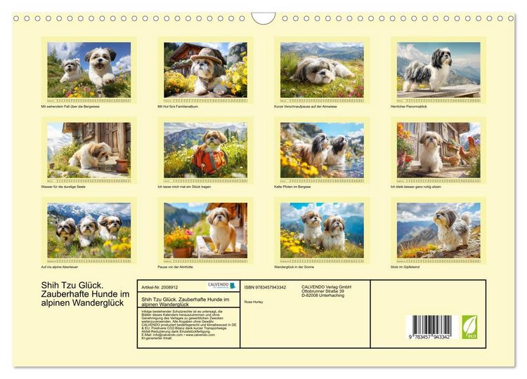 Produktbild: Shih Tzu Gl&uuml;ck. Zauberhafte Hunde im alpinen Wandergl&uuml;ck (Wandkalender 2026 DIN A3 quer), CALVENDO Monatskalender