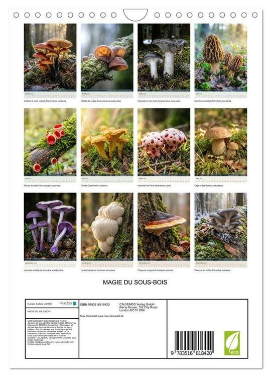 Produktbild: MAGIE DU SOUS-BOIS (Calendrier mural 2027 DIN A4 horizontal), CALVENDO calendrier mensuel