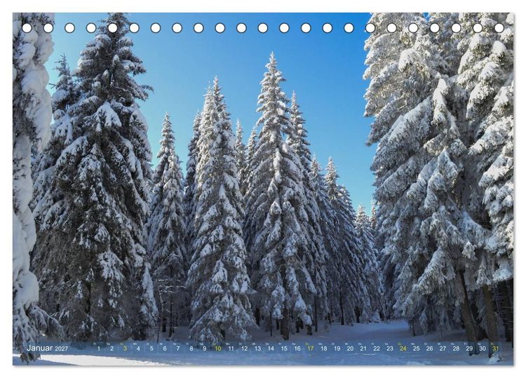 Produktbild: Spaziergang im Wald (Tischkalender 2027 DIN A5 quer), CALVENDO Monatskalender
