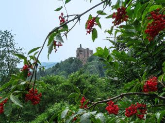Produktbild: CALVENDO Puzzle Die Ruine des Schlosses Fleckenstein. | 1000 Teile Lege-Gr&ouml;&szlig;e 64x48cm Foto-Puzzle f&uuml;r gl&uuml;ckliche Stunden