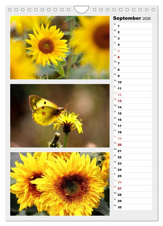 Produktbild: Zauberhafte Farben der Natur (Wandkalender 2026 DIN A4 hoch), CALVENDO Monatskalender