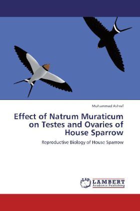 Produktbild: Ashraf, M: Effect of Natrum Muraticum on Testes and Ovaries