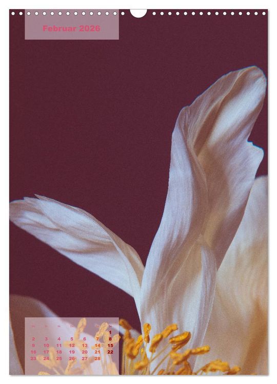 Produktbild: Die K&ouml;nigin der Rosen (Wandkalender 2026 DIN A3 hoch), CALVENDO Monatskalender