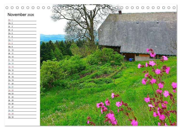 Produktbild: Landleben (Wandkalender 2026 DIN A4 quer), CALVENDO Monatskalender