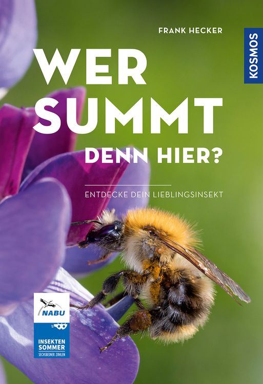 Produktbild: Wer summt denn hier?